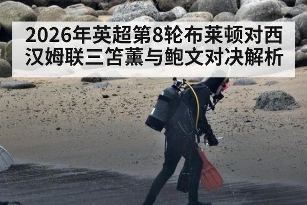 2026年英超第8轮布莱顿对西汉姆联三笘薰与鲍文对决解析